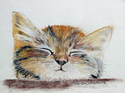 Sleepyhead Painting by Marlene Schwartz Massey
