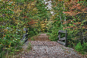 Small trestle along rail trail Photograph by Jeff Folger
