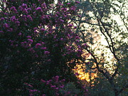 Smokey Sunrise Photograph by Richard Thomas