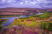 Snake River Fall Beauty  Photograph by Scott McGuire