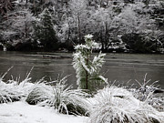 Snow on Greens Digital Art by Kathleen Illes