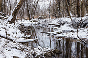 Snow Riverside Photograph by Jennifer White