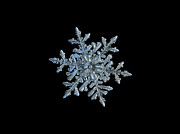 Snowflake 2018-02-21 n1 black Photograph by Alexey Kljatov