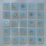 Snowflake collage - Season 2013 bright crystals Photograph by Alexey Kljatov