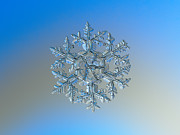 Snowflake photo - Gardener's dream Photograph by Alexey Kljatov