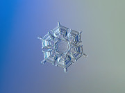 Snowflake photo - Ice relief Photograph by Alexey Kljatov