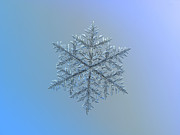 Snowflake photo - Majestic crystal Photograph by Alexey Kljatov