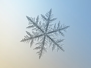 Snowflake photo - Silverware Photograph by Alexey Kljatov