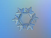 Snowflake photo - Sunflower Photograph by Alexey Kljatov
