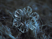 Snowflake photo - The core Photograph by Alexey Kljatov Snowflake photo - The core Photograph by Alexey Kljatov