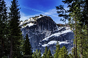 Snowy Sentinel Photograph by Adam Morsa Snowy Sentinel Photograph by Adam Morsa