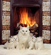 Snuggle up with mother by the fire Photograph by Warren Photographic