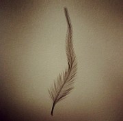 Softly Photograph by Denise Railey