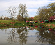 Sometimes on a Lake Photograph by Allen Nice-Webb