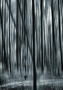 Soul Searching Photograph by Lourry Legarde Soul Searching Photograph by Lourry Legarde