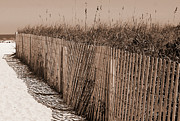 South Beach Patterns Photograph by Ron Long