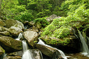 South Mountains Rugged Beauty Photograph by Joni Eskridge South Mountains Rugged Beauty Photograph by Joni Eskridge