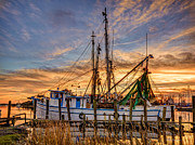 Southern Charm Photograph by Mike Covington