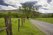 Sparks Lane In Cade Cove Photograph by Ken Barrett