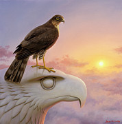 Sparrowhawk Painting by Brian McCarthy