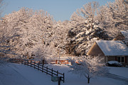 Spartanburg Winter   Photograph by Arnold Hence