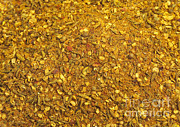 Spices That Make Up Curry Powder Photograph by Gerard Lacz