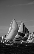 Spinnaker Run Photograph by David Shuler