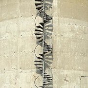 Spiral Staircase Photograph by Julie Gebhardt