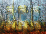 Spirits of the forest Photograph by Gabi Hampe