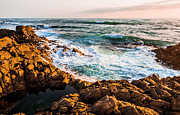 Splash of colour Photograph by Jorgo Photography Splash of colour Photograph by Jorgo Photography