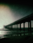 Spotlight On Scripps Photograph by Ken Johnson