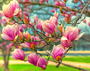 Spring has sprung Photograph by Izet Kapetanovic