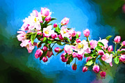 Spring Impressions Photograph by Greg Norrell Spring Impressions Photograph by Greg Norrell