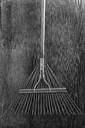 Spring Rake Photograph by YoPedro