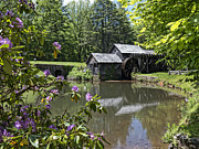 Spring reflections of an Ancient Mill Photograph by Brenda Kean