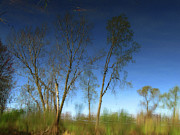 Spring Time Reflection Photograph by Scott Hovind