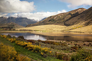 Springtime in New Zealand Photograph by Cheryl Strahl Springtime in New Zealand Photograph by Cheryl Strahl