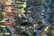 St. Johns reflection V Photograph by Stacey Sather