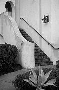 Stairway Photograph by Tim Newton