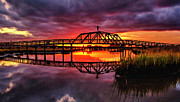 Stand Tall Photograph by DJA Images