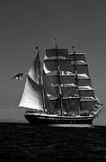 Star of India Reaching Photograph by David Shuler