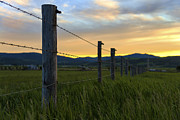 Star Valley Photograph by Chad Dutson