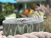 Starfish Memory Photograph by Carol Riddle