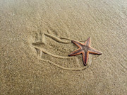 Starfish on the Beach Photograph by Debra Martz Starfish on the Beach Photograph by Debra Martz