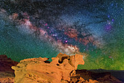 Stargazing Bull Photograph by Ralf Rohner