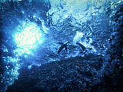 Starry Night Under the Waves Photograph by Becqi Sherman Starry Night Under the Waves Photograph by Becqi Sherman