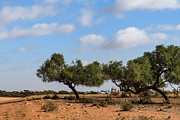 Station Boundary Photograph by Werner Padarin