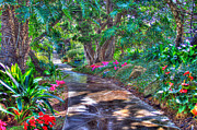 Stay on your path Photograph by TC Morgan