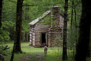 Step Back in Time Photograph by Andrea Silies