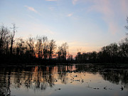Stillness Virginia Waterways Photograph by Digital Art Cafe